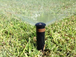 Reticulation Northern Suburbs