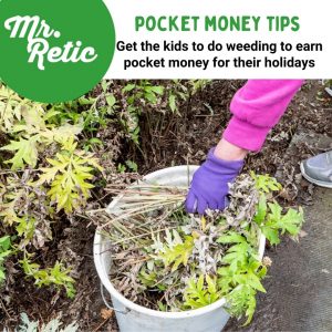 pocket money tips from the home of Mr Retic