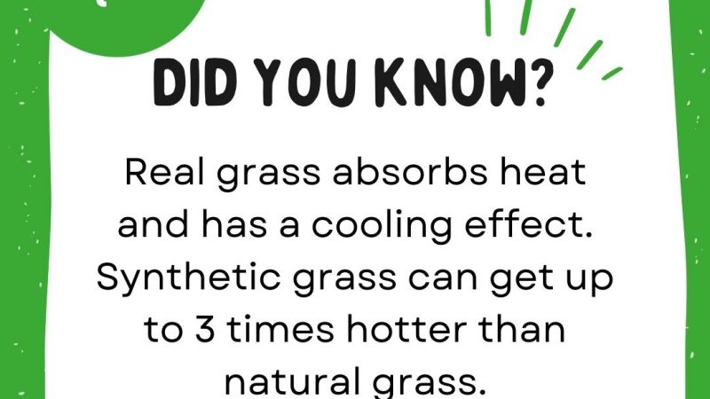 grass-is-cooler
